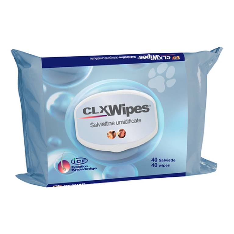 CLX WIPES 40SALV