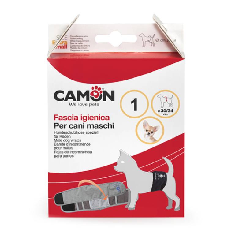 FASCIA CANI MASCHI BLU 1