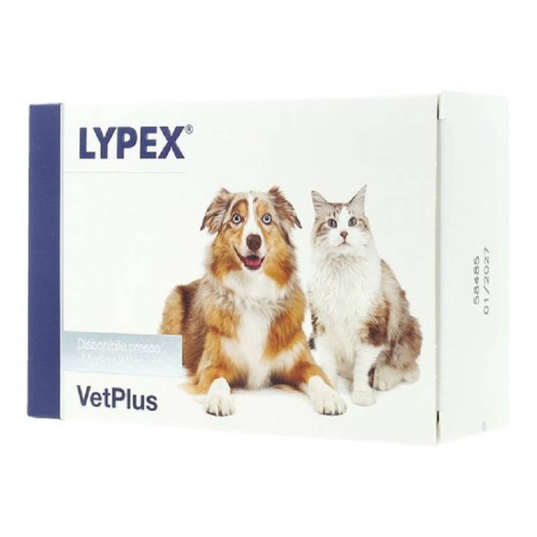 LYPEX 60CPS