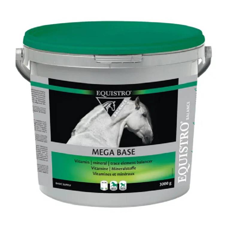 MEGA BASE EQUISTRO 3KG