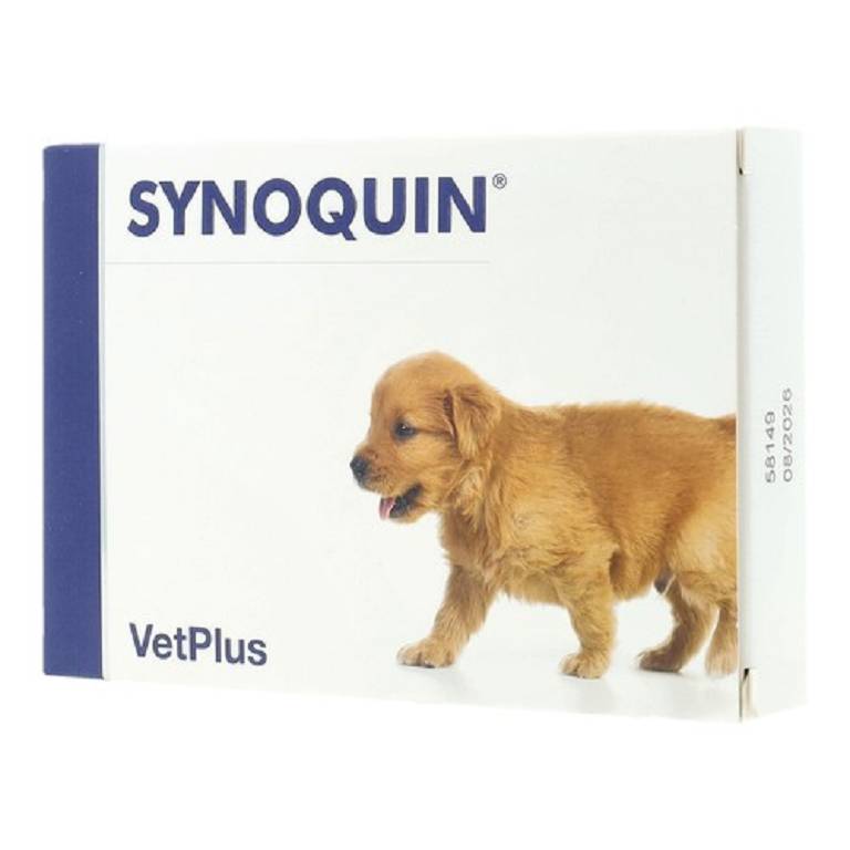 SYNOQUIN GROWTH 60CPR